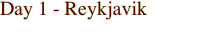 Day 1 - Reykjavik