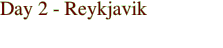Day 2 - Reykjavik