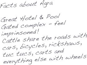 Facts about Agra

Great Hotel & Pool
Gated complex - feel imprinsoned!
Cattle share the roads with cars, bicycles, rickshaws, tuc tucs, carts and everything else with wheels
