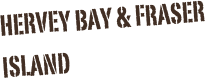 hervey bay & fraser island